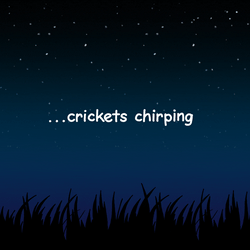 Stary Night Chirping Dead Silence GIF