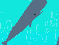 States Whale Animation GIF