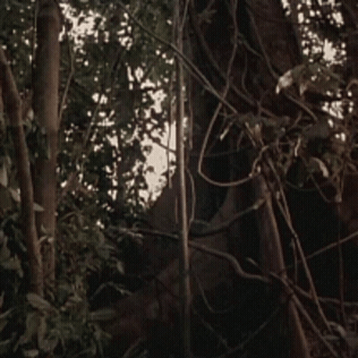 Statue Of Horse Surrounded By Trees And Leaves GIF