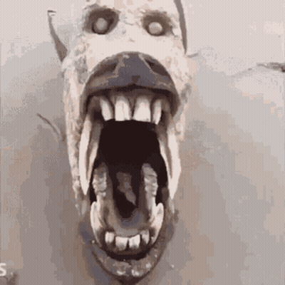 Statue Of Horse With Mouth Open Showing Teeth GIF