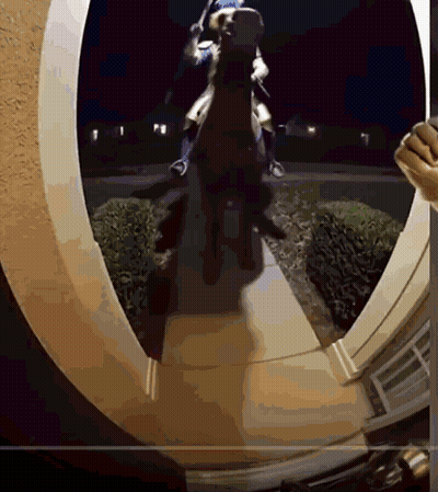 Statue Of Man Riding Horse In Front Of Door GIF