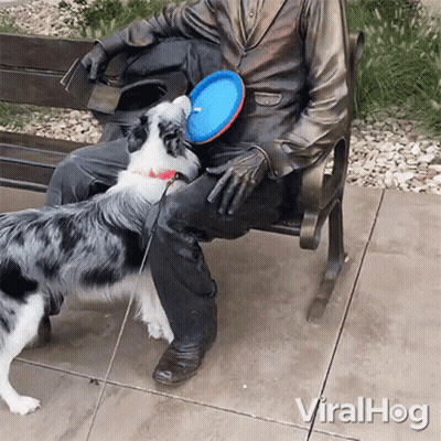 Statue of Man Sitting on Bench With Dog Playing With Frisbee