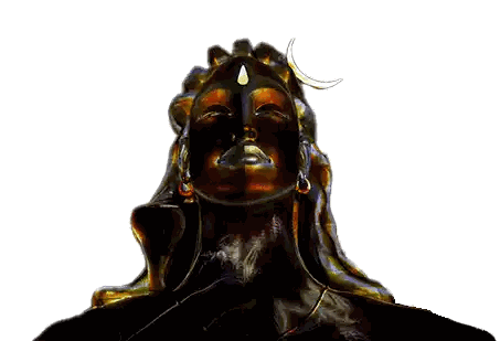Statue With Save Soil Sticker