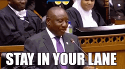 Stay In Your Lane Cyril Ramaphosa GIF
