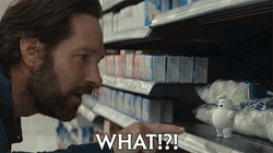 Stay Puft Marshmallow Man Paul Rudd Ghostbusters GIF