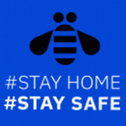 Stay Safe Flying Bee GIF