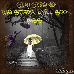 Stay Strong Penguin In The Rain  GIF