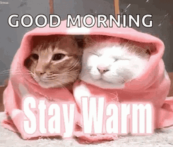 Stay Warm GIF