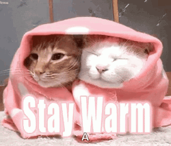 Stay Warm GIF