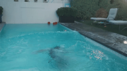 Staying Cool In The Pool With Zeus Conin GIF