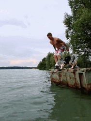 Staying Cool With My Dog In The Beach GIF