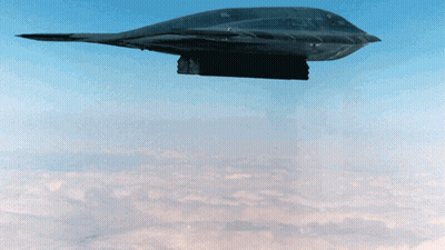 Stealth Bomber Flying With Two Stuffed Animals Attached GIF
