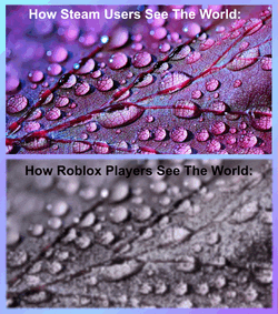 Steam Vs Roblox The World Meme GIF