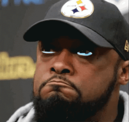 Steelers  Mike Tomlin Crying GIF