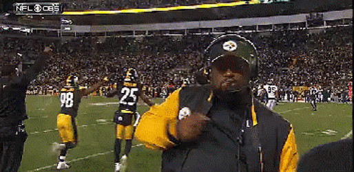 Steelers Mike Tomlin Pointing At The Camera GIF