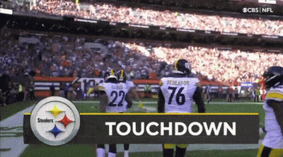 Steelers Vs Browns Football Touchdown GIF