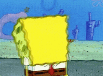 Stefaknee GIF