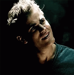 Stefan Salvatore Sarcastic Laugh GIF