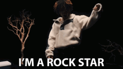 Steh Auf I'm A Rockstar GIF