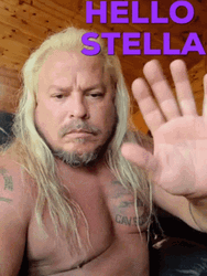 Stella Long Haired Man Hello Wave GIF