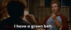 Step Brothers Interview Brennan Has Green Belt GIF