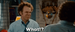 Step Brothers Interview Irritated Dale What GIF