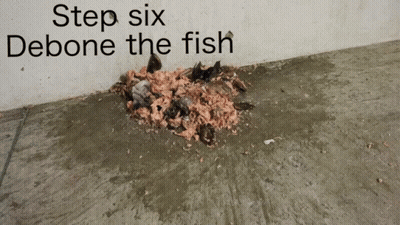 Step Six Deboning Fish GIF