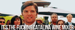 Stepbrothers Catalina Wine Mixer Scene GIF