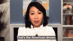 Stephanie Murphy American Dream GIF