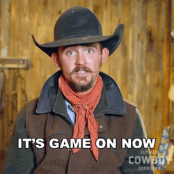 Stephen Heitmann It's Game On Now GIF