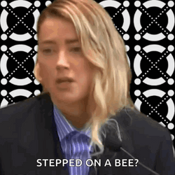 Stepped On A Bee Meme GIF