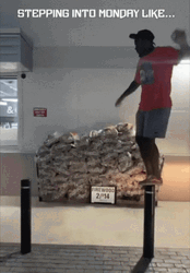 Stepping Into Hello Monday GIF