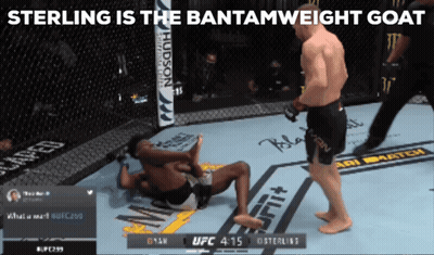 Sterling Bantamweight Goat Boxing Match GIF