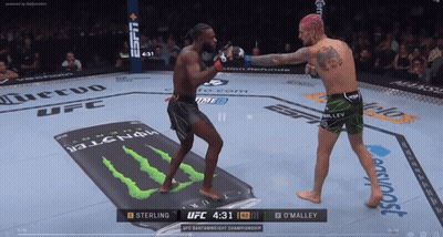 Sterling Vs O'Malley Boxing Match GIF