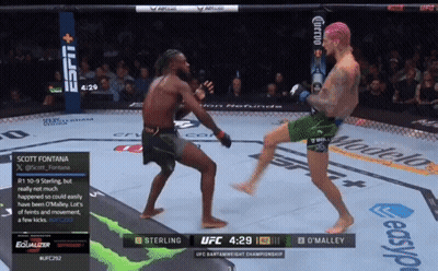 Sterling Vs O'Malley UFC Fight On ESPN GIF