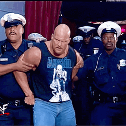 Steve Austin Arrested GIF