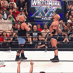 Steve Austin Stone Cold Stunner Wrestlemania GIF
