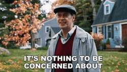 Steve Buscemi Nothing To Be Concerned About GIF