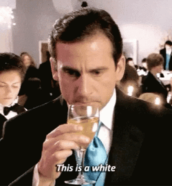 Steve Carell This Is A White GIF
