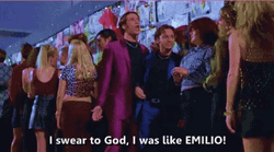 Steve Emilio Night At The Roxbury  GIF