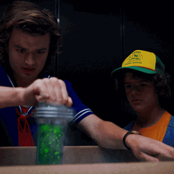 Steve Harrington What The Hell GIF