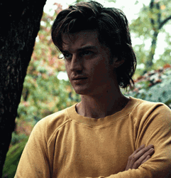 Steve Harrington What GIF