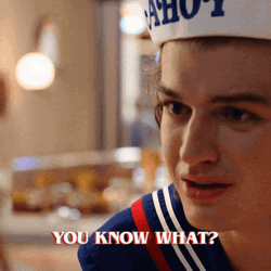 Steve Harrington You Know What GIF