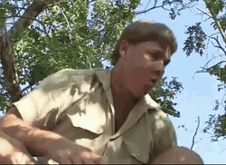 Steve Irwin Danger Danger GIF