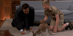 Steve Irwin Son Robert Baby Kangaroo Jimmy Fallon GIF
