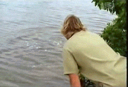 Steve Irwin Two Thumbs Up GIF