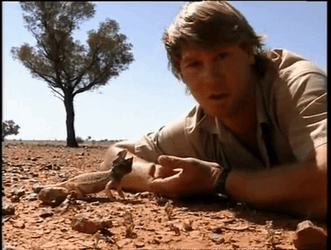Steve Irwin With A Lizard GIF
