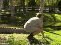 Steve Irwin With Crocodile GIF