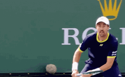 Steve Johnson Tennis Court Rolex Logo GIF