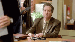 Steve Little Objection GIF